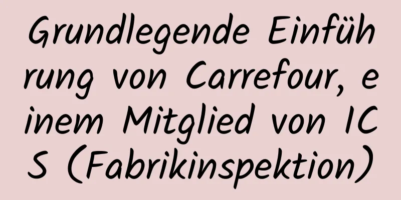 Grundlegende Einführung von Carrefour, einem Mitglied von ICS (Fabrikinspektion)