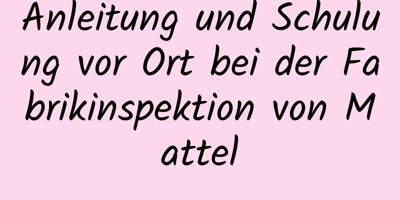 Anleitung und Schulung vor Ort bei der Fabrikinspektion von Mattel