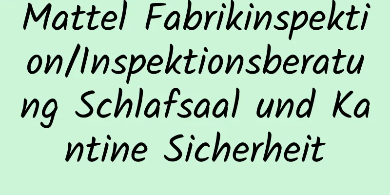 Mattel Fabrikinspektion/Inspektionsberatung Schlafsaal und Kantine Sicherheit