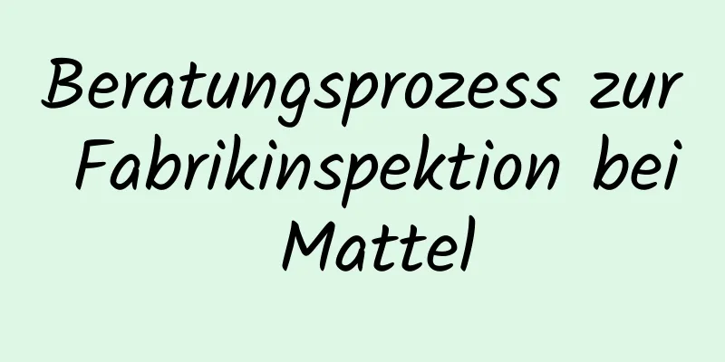 Beratungsprozess zur Fabrikinspektion bei Mattel