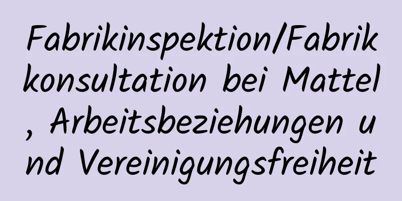 Fabrikinspektion/Fabrikkonsultation bei Mattel, Arbeitsbeziehungen und Vereinigungsfreiheit