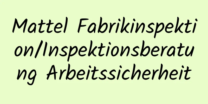 Mattel Fabrikinspektion/Inspektionsberatung Arbeitssicherheit