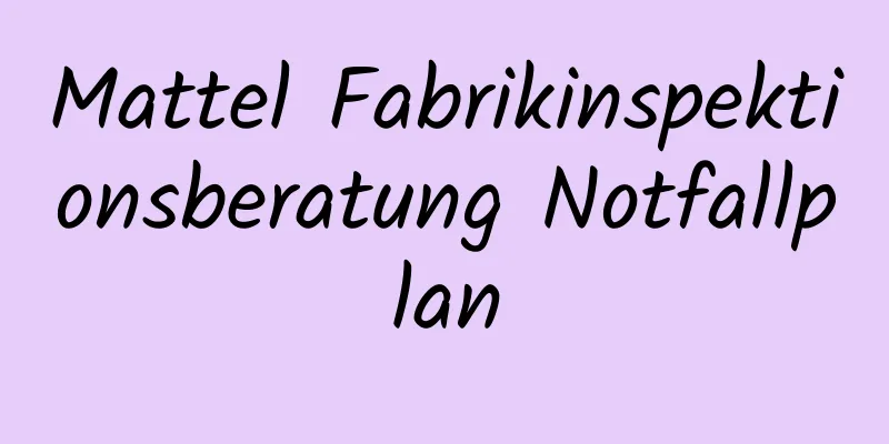 Mattel Fabrikinspektionsberatung Notfallplan