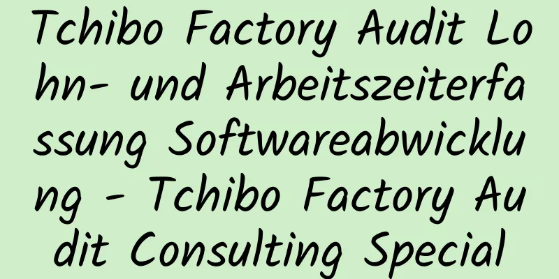 Tchibo Factory Audit Lohn- und Arbeitszeiterfassung Softwareabwicklung - Tchibo Factory Audit Consulting Special