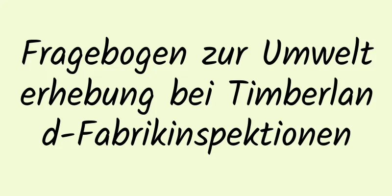 Fragebogen zur Umwelterhebung bei Timberland-Fabrikinspektionen