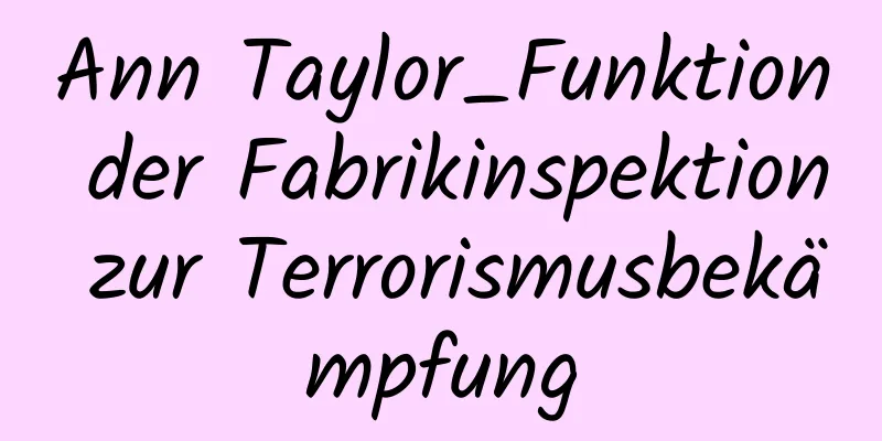 Ann Taylor_Funktion der Fabrikinspektion zur Terrorismusbekämpfung