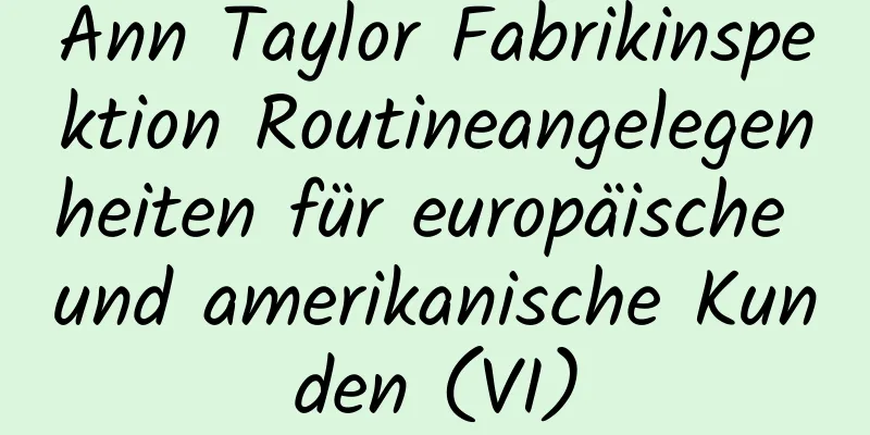 Ann Taylor Fabrikinspektion Routineangelegenheiten für europäische und amerikanische Kunden (VI)