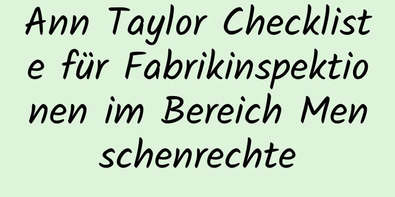 Ann Taylor Checkliste für Fabrikinspektionen im Bereich Menschenrechte