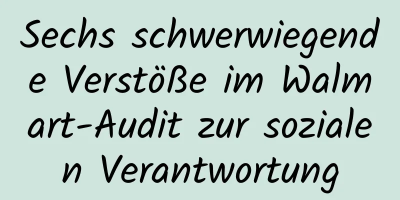 Sechs schwerwiegende Verstöße im Walmart-Audit zur sozialen Verantwortung