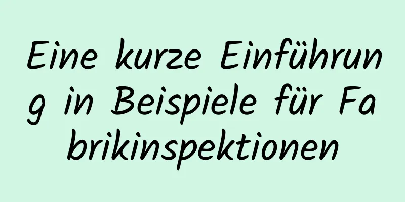 Eine kurze Einführung in Beispiele für Fabrikinspektionen