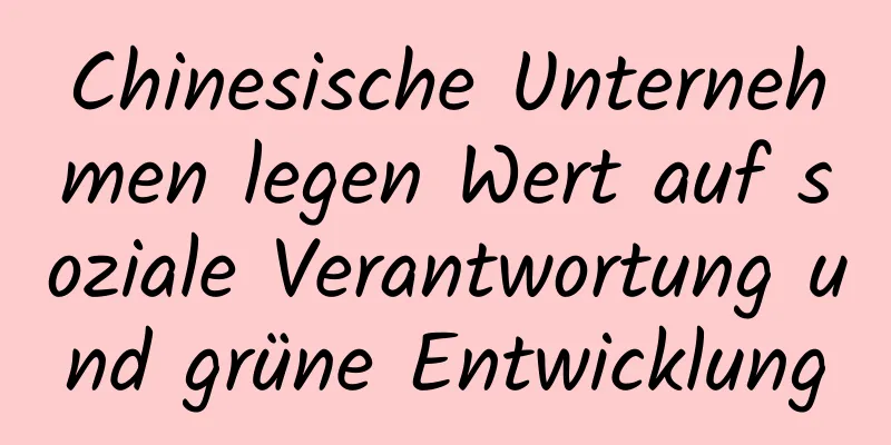 Chinesische Unternehmen legen Wert auf soziale Verantwortung und grüne Entwicklung