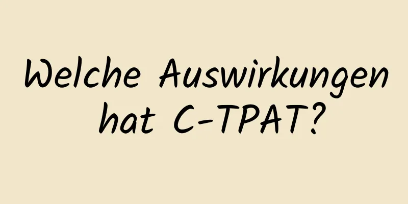 Welche Auswirkungen hat C-TPAT?