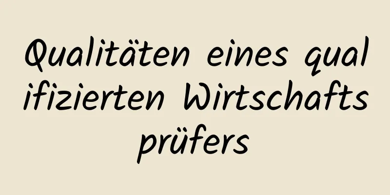 Qualitäten eines qualifizierten Wirtschaftsprüfers