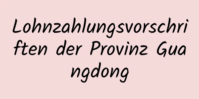 Lohnzahlungsvorschriften der Provinz Guangdong