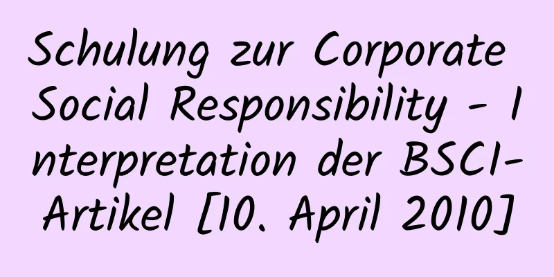 Schulung zur Corporate Social Responsibility - Interpretation der BSCI-Artikel [10. April 2010]