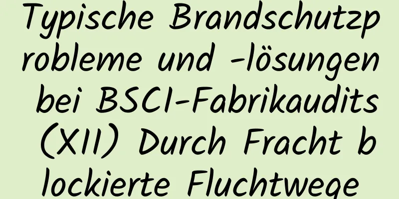 Typische Brandschutzprobleme und -lösungen bei BSCI-Fabrikaudits (XII) Durch Fracht blockierte Fluchtwege