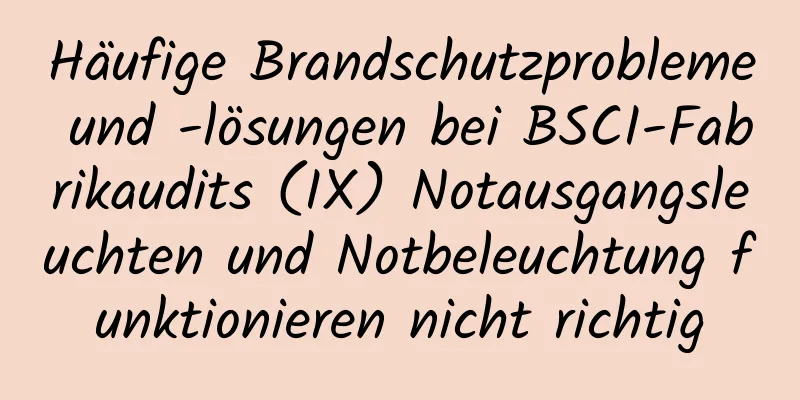 Häufige Brandschutzprobleme und -lösungen bei BSCI-Fabrikaudits (IX) Notausgangsleuchten und Notbeleuchtung funktionieren nicht richtig