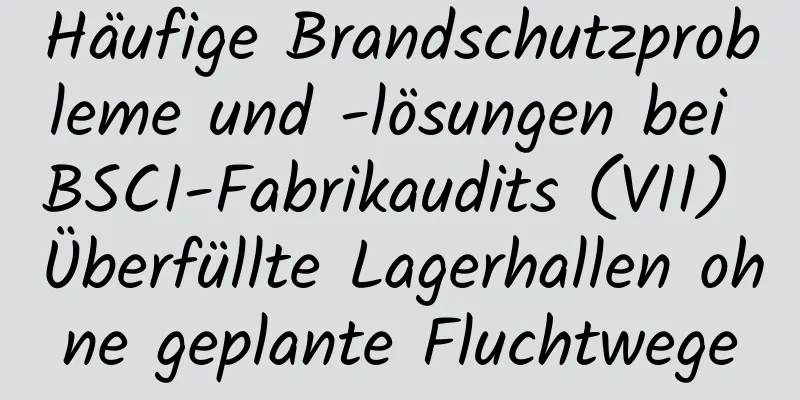 Häufige Brandschutzprobleme und -lösungen bei BSCI-Fabrikaudits (VII) Überfüllte Lagerhallen ohne geplante Fluchtwege