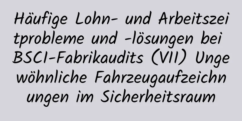 Häufige Lohn- und Arbeitszeitprobleme und -lösungen bei BSCI-Fabrikaudits (VII) Ungewöhnliche Fahrzeugaufzeichnungen im Sicherheitsraum